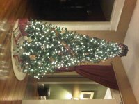 December 22, 2009