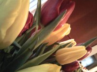 February 1, 2010