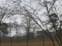 February 5, 2010