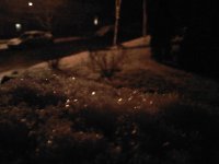 February 15, 2010
