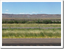 IMG03290-20100814-1354