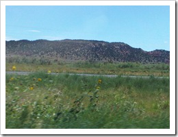 IMG03292-20100814-1355