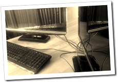 IMG04490-20110116-1033