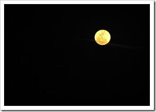moon_0107web