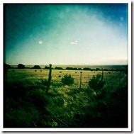 2011-03-26 at 17.52.11