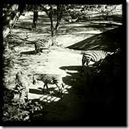 2011-03-27 at 16.15.32