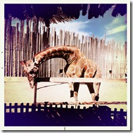 2011-03-27 at 16.23.45